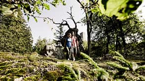 OD Soonwaldsteig Hunsrück OD Soonwaldsteig Hunsrück