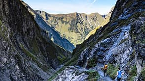 OD 1015 Allgäu Strahlkopf OD 1015 Allgäu Strahlkopf