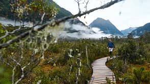 od-1116-neuseeland-milford-sound-teaser-bild (jpg) od-1116-neuseeland-milford-sound-teaser-bild (jpg)