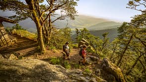 Berge,Deutschland,Europa,Gebirge,Landschaft,Mittelgebirge,Mittlerer Schwarzwald,Reise,Schwarzwald,Schwarzwaldtourismus,Steig,Südwestdeutschland,Touren,Tourismus,Umwelt,Wanderer,Wandern,Wandersteig,Wandertouren,Wanderung,Wanderweg,Wanderwege,Westeuropa,Zweitälerland,Zweitälersteig,landschaftlich,reisen Zweitälersteig, Baden-Württemberg