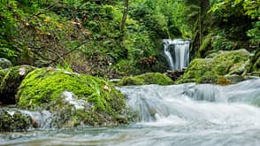 Berg,Bäume,Camp,Lena,Magazin,Natur,Outdoor,Regen,Reportage,Schwarzwald,Wald,Wasserfall,Zelten,Übernachtung Komoot SH 04/2021; Weitwanderwege Deutschland