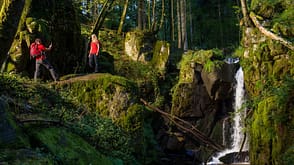 Auf dem Albsteig im Schwarzwald Auf dem Albsteig im Schwarzwald