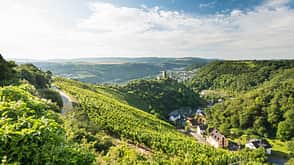 Moselsteig - Rheinland-Pfalz Moselsteig - Rheinland-Pfalz