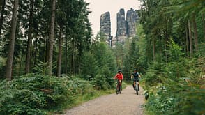 OD SH 01/2022: Elberadweg