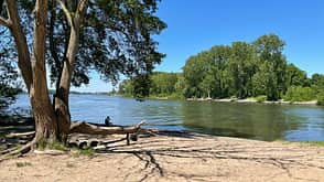 GettyImages/Klaus Ibold: Flußmündung der Sieg in den Rhein GettyImages/Klaus Ibold: Flußmündung der Sieg in den Rhein