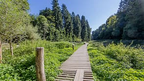 Mullerthal Trail Mullerthal Trail