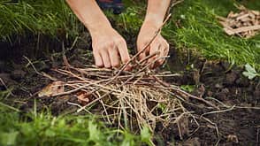 Bushcraft: Feuer machen Bushcraft: Feuer machen
