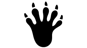 Tierspuren Tierspuren