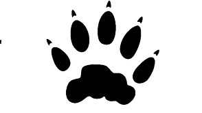 Tierspuren
Tierspuren