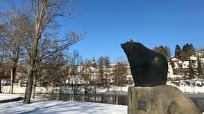 Grafenau Bärenstadt Grafenau Bärenstadt
