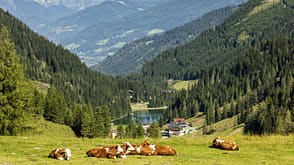 Zauchensee-Flachauwinkl im Salzburger Land, Österreich Zauchensee-Flachauwinkl im Salzburger Land, Österreich