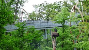 Tree Top Walk Edersee Tree Top Walk Edersee