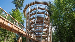 Baumwipfelpfad Schwarzwald Baumwipfelpfad Schwarzwald