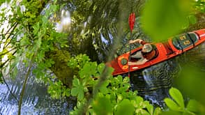 Spreewald Spreewald