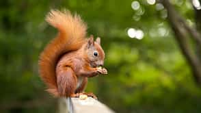Basislager Natur Basislager Natur