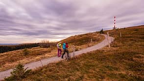 Auf den Feldberg im Schwarzwald Auf den Feldberg im Schwarzwald