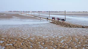 Wattwandern in der Nordsee bei Neßmersiel Wattwandern in der Nordsee bei Neßmersiel