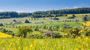 Bliesgau Saarland Bliesgau Saarland