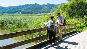 Bodensee Wandern Premiumwanderweg Seegang Baden-Württemberg Bodensee Wandern Premiumwanderweg Seegang Baden-Württemberg