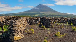 Azoren Wandern Urlaub Insel Berg Vulkan Pico Wein Azoren Wandern Urlaub Insel Berg Vulkan Pico Wein