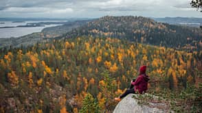 Finnland Koli Nationalpark Berge Wald Seen Wandern Herbst Finnland Koli Nationalpark Berge Wald Seen Wandern Herbst