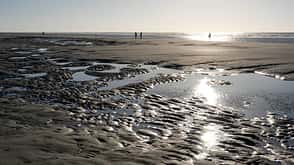 Hamburg Wandern Deutschland Wattwanderung Wattenmeer Hamburg Wandern Deutschland Wattwanderung Wattenmeer