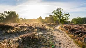 Hamburg Wandern Deutschland Boberger Dünen Niederung Hamburg Wandern Deutschland Boberger Dünen Niederung