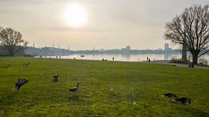 Hamburg Altsterwiese Deutschland Wandern Hamburg Altsterwiese Deutschland Wandern