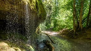 Naturwunder Deutschland Wutachschlucht Canyon Schwarzwald Naturwunder Deutschland Wutachschlucht Canyon Schwarzwald
