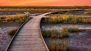 Deutschland Naturwunder Langwarder Groden Wattmeer Nordsee Deutschland Naturwunder Langwarder Groden Wattmeer Nordsee