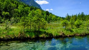 Naturwunder Deutschland Fluss Ammer Bayern Naturwunder Deutschland Fluss Ammer Bayern