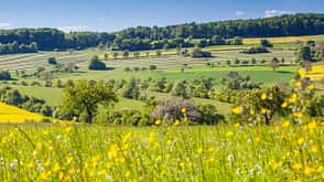 Saarland Natur-Highlights: Bliesgau
