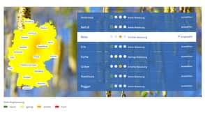 Pollenflug und Radfahrer