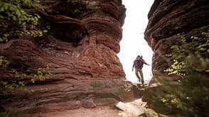Wandern in Rheinland-Pfalz - Pfälzerwald - Dahner Felsenland - Trekking