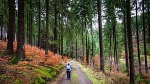 Deutschland Wanderungen Nordrhein Westfalen NRW Wandern Urlaub Sauerland Wald Deutschland Wanderungen Nordrhein Westfalen NRW Wandern Urlaub Sauerland Wald