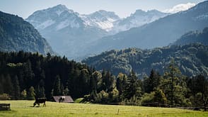 Wandern Allgäu Allgäuer Alpen Deutschland Bayern Berge Urlaub Oberstdorf Kühe Weide Wandern Allgäu Allgäuer Alpen Deutschland Bayern Berge Urlaub Oberstdorf Kühe Weide