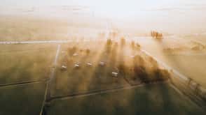 Niederlande Holland Nationalpark Natur Freizeit Urlaub Wandern Friesland Alde Faenen