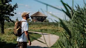 Niederlande Holland Nationalpark Natur Freizeit Urlaub Wandern Oostvaardersplassen Niuw land