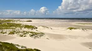 Foredunes on broad Kniepsand, Amrum, North Frisian Island, North Frisia, Schleswig-Holstein, Germany