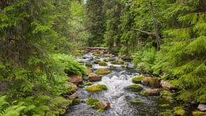 Fulufjället Nationalpark