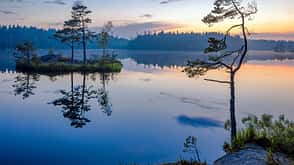 Tyresta Nationalpark