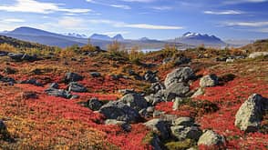 Stora Sjöfallet Nationalpark