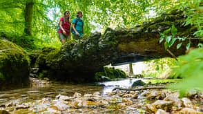 Schloss Lichtenstein, Schwäbische Alb, Frühling