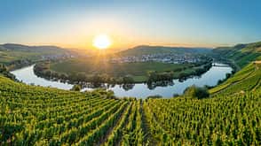 Malerische Moselschleife bei Leiwen, Trittenheim 