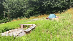 Naturwaldtrekkingplatz Irtenberger Wald, Spessart