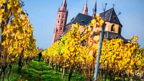 Weinwanderungen in Deutschland Weinwanderungen in Deutschland