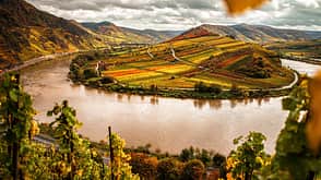 Weinwanderungen in Deutschland Weinwanderungen in Deutschland