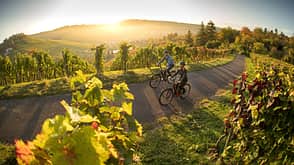 Weinwanderungen in Deutschland Weinwanderungen in Deutschland