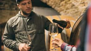 Weinwanderungen in Deutschland Weinwanderungen in Deutschland