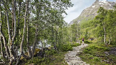 od-2018-Romsdalseggen-Norwegen-5 od-2018-Romsdalseggen-Norwegen-5